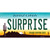 Surprise Arizona Wholesale Novelty Sticker Decal