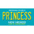 Princess New Mexico Teal Wholesale Novelty Sticker Decal