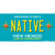 Native New Mexico Teal Wholesale Novelty Sticker Decal