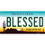 Blessed Arizona Wholesale Novelty Sticker Decal