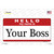 Your Boss Wholesale Novelty Sticker Decal