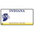 Indiana State Bicentennial Wholesale Novelty Sticker Decal
