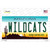 Wildcats Arizona Wholesale Novelty Sticker Decal
