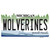 Michigan Wolverines Wholesale Novelty Sticker Decal