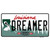 Dreamer Louisiana Wholesale Novelty Sticker Decal