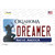 Dreamer Oklahoma Wholesale Novelty Sticker Decal