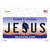 Jesus South Carolina Wholesale Novelty Sticker Decal