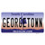 Georgetown South Carolina Wholesale Novelty Sticker Decal