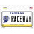 Raceway Indiana Wholesale Novelty Sticker Decal