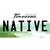 Native Tennessee Wholesale Novelty Sticker Decal