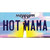 Hot Mama Mississippi Wholesale Novelty Sticker Decal