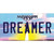 Dreamer Mississippi Wholesale Novelty Sticker Decal