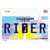 Rider Mississippi Wholesale Novelty Sticker Decal