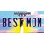Best Mom Mississippi Wholesale Novelty Sticker Decal