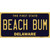 Beach Bum Delaware Wholesale Novelty Sticker Decal