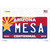 Arizona Centennial Mesa Wholesale Novelty Sticker Decal