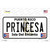 Princesa Puerto Rico Wholesale Novelty Sticker Decal