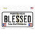 Blessed Puerto Rico Wholesale Novelty Sticker Decal