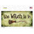 The Witch Is In Wholesale Novelty Sticker Decal