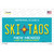 Ski Taos Teal New Mexico Wholesale Novelty Sticker Decal