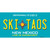 Ski Taos Teal New Mexico Wholesale Novelty Sticker Decal