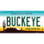 Buckeye Arizona Wholesale Novelty Sticker Decal