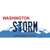 Storm Washington Wholesale Novelty Sticker Decal