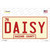 Daisy Wholesale Novelty Sticker Decal