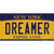 Dreamer New York Wholesale Novelty Sticker Decal