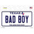 Bad Boy Texas Wholesale Novelty Sticker Decal