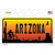 Biker Arizona Scenic Wholesale Novelty Sticker Decal