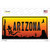 Lizard Arizona Scenic Wholesale Novelty Sticker Decal