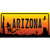 Lizard Arizona Scenic Wholesale Novelty Sticker Decal