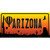 Balloon Arizona Scenic Wholesale Novelty Sticker Decal