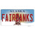 Fairbanks Alaska State Wholesale Novelty Sticker Decal