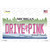 Drive Pink Michigan Wholesale Novelty Sticker Decal