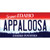 Appaloosa Idaho Wholesale Novelty Sticker Decal