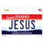 Jesus Idaho Wholesale Novelty Sticker Decal