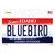 Bluebird Idaho Wholesale Novelty Sticker Decal