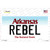 Rebel Arkansas Wholesale Novelty Sticker Decal