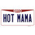 Hot Mama Ohio Wholesale Novelty Sticker Decal