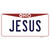 Jesus Ohio Wholesale Novelty Sticker Decal