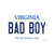 Bad Boy Virginia Wholesale Novelty Sticker Decal