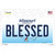 Blessed Missouri Wholesale Novelty Sticker Decal