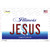 Jesus Illinois Wholesale Novelty Sticker Decal