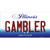 Gambler Illinois Wholesale Novelty Sticker Decal