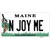 N Joy ME Maine Wholesale Novelty Sticker Decal