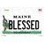 Blessed Maine Wholesale Novelty Sticker Decal