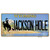 Jackson Hole Wyoming Wholesale Novelty Sticker Decal