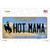 Hot Mama Wyoming Wholesale Novelty Sticker Decal